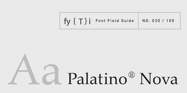Palatino-Nova-Field-Guide-Überschrift-02