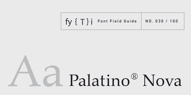 Palatino-Nova-Guide de terrain-En-tête-02