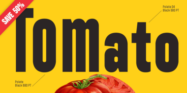 Polate-Typesketchbook-Affiliate_Only_Sale