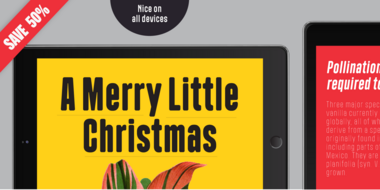 Polate_Soft-Typesketchbook-Affiliate_Only_Sale