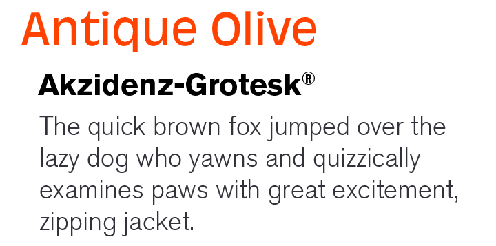 antik-oliv-Font-paar-akzidenz-grotesk