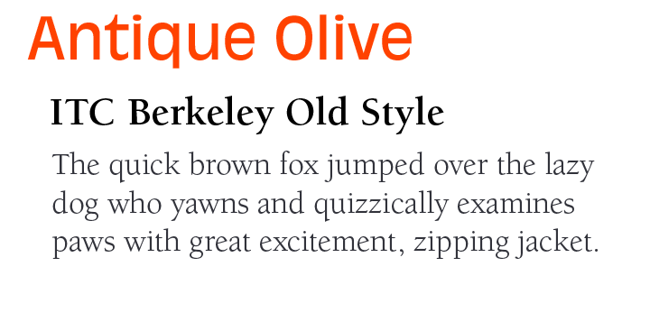 antik-oliv-Font-paar-berkeley-oldstyle-Font-itc