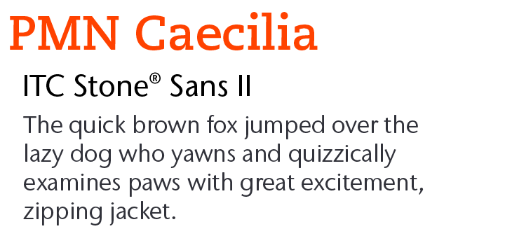 ITC Stone Sans II by ITC